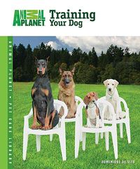 Produktbild: Training Your Dog