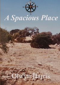 Produktbild: A Spacious Place