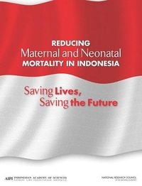Produktbild: Reducing Maternal and Neonatal Mortality in Indonesia