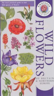 Produktbild: Wild Flowers of Britain and Northern Europe
