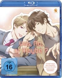 Produktbild: Yes, No, or Maybe? - The Movie
