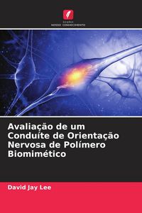 Produktbild: Avalia&ccedil;&atilde;o de um Condu&iacute;te de Orienta&ccedil;&atilde;o Nervosa de Pol&iacute;mero Biomim&eacute;tico