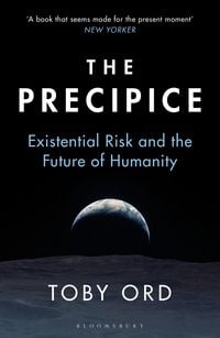 Produktbild: The Precipice