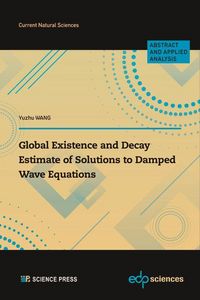 Produktbild: Global Existence and Decay Estimate of Solutions to Damped Wave Equations