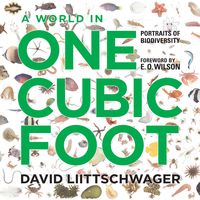 Produktbild: A World in One Cubic Foot