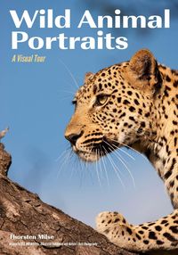 Bild vom Artikel Wild Animal Portraits vom Autor Thorsten Milse
