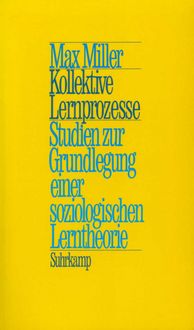 Produktbild: Kollektive Lernprozesse