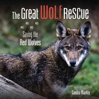 Produktbild: The Great Wolf Rescue
