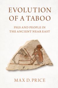 Produktbild: Evolution of a Taboo