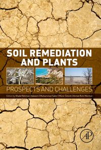 Produktbild: Soil Remediation and Plants