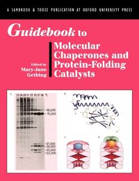 Produktbild: Guidebook to Molecular Chaperones and Protein-Folding Catalysts