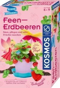 Produktbild: Feen-Erdbeeren