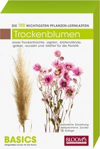 Produktbild: Trockenblumen/Trockenfloralien
