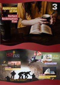 Produktbild: Application of the Perfect Redemption Plan 3