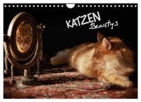 Produktbild: KATZEN Beautys (Wandkalender 2026 DIN A4 quer), CALVENDO Monatskalender