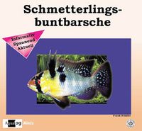 Bild vom Artikel Schmetterlingsbuntbarsche vom Autor Frank Schäfer
