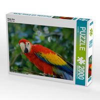 Produktbild: Roter Ara (Puzzle)