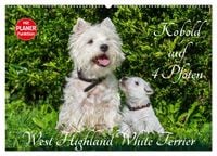 Produktbild: Kobold auf 4 Pfoten - West Highland White Terrier (Wandkalender 2027 DIN A2 quer), CALVENDO Monatskalender