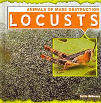 Produktbild: Locusts