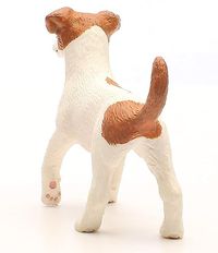 13916 - Jack Russell Terrier