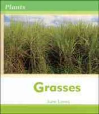 Produktbild: Grasses