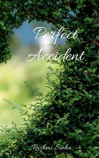 Produktbild: Perfect Accident