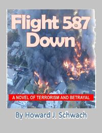 Produktbild: Flight 587 Down