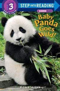 Produktbild: Baby Panda Goes Wild