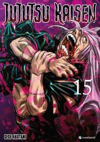 Produktbild: Jujutsu Kaisen &ndash; Band 15