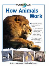 Produktbild: How Animals Work