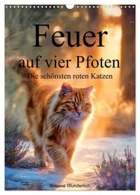 Produktbild: Feuer auf vier Pfoten - Die sch&ouml;nsten roten Katzen (Wandkalender 2027 DIN A3 hoch), CALVENDO Monatskalender