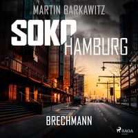 Bild vom Artikel SoKo Hamburg: Brechmann (Ein Fall für Heike Stein, Band 17) vom Autor Martin Barkawitz