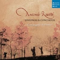 Produktbild: Compagnia Di Punto: Sinfonien und Konzerte