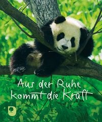 Bild vom Artikel Aus der Ruhe kommt die Kraft vom Autor 