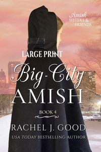 Produktbild: Big-City Amish