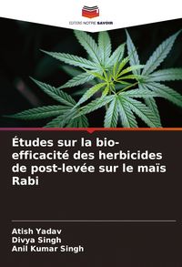 Produktbild: &Eacute;tudes sur la bio-efficacit&eacute; des herbicides de post-lev&eacute;e sur le ma&iuml;s Rabi