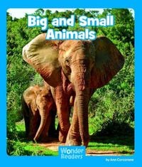 Produktbild: Big and Small Animals