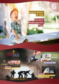 Produktbild: Application of the Perfect Redemption Plan 6