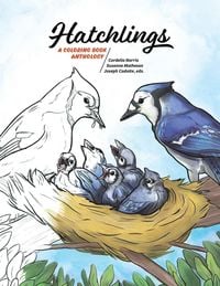 Produktbild: Hatchlings