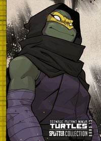 Produktbild: Teenage Mutant Ninja Turtles Splitter Collection 13
