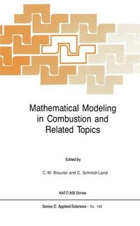 Produktbild: Mathematical Modeling in Combustion and Related Topics