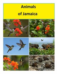 Produktbild: Animals of Jamaica