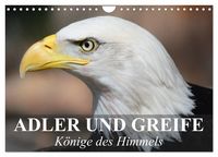Produktbild: Adler und Greife - K&ouml;nige des Himmels (Wandkalender 2026 DIN A4 quer), CALVENDO Monatskalender