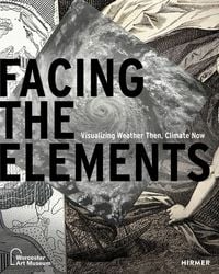 Produktbild: Facing the Elements