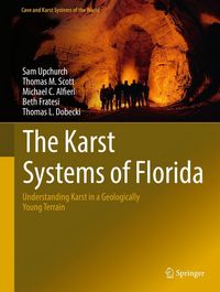 Produktbild: The Karst Systems of Florida