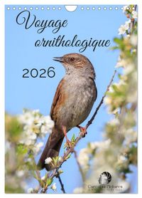 Produktbild: Voyage ornithologique (Calendrier mural 2027 DIN A4 horizontal), CALVENDO calendrier mensuel