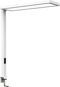 Produktbild: MAUL Tischleuchte LED senja dimmbar, weiss Delivery