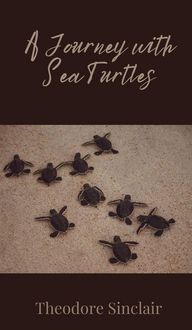 Produktbild: A Journey with Sea Turtles