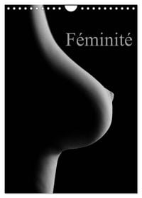 Produktbild: F&eacute;minit&eacute; (Calendrier mural 2027 DIN A4 horizontal), CALVENDO calendrier mensuel