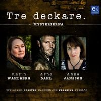 Produktbild: Tre deckare II